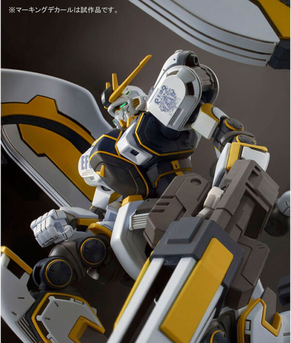 萬代 PB限定 HG 1/144《機動戰士鋼彈 雷霆宙域戰線》RX-78AL 擎天神鋼彈 BANDIT FLOWER版