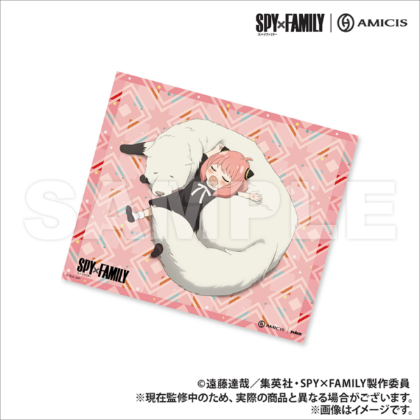 預購 25年9月 日版 AMICIS 限定品《間諜家家酒》電競聯名鍵盤日語配置、玻璃滑鼠墊：圖片 11