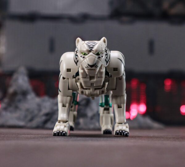 ROBOTtoys RT-04 晝虎/白虎 第三方小比例變形玩具：圖片 10
