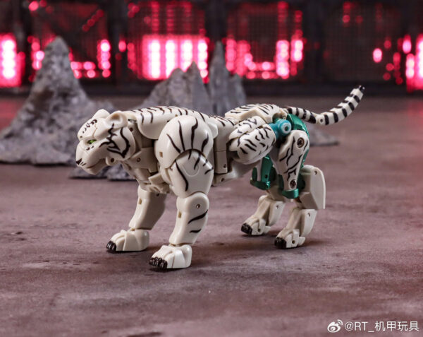 ROBOTtoys RT-04 晝虎/白虎 第三方小比例變形玩具：圖片 11