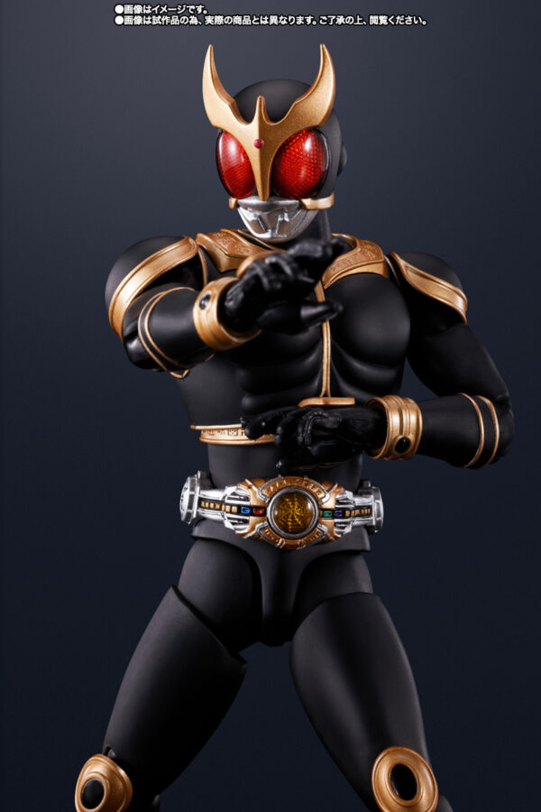 萬代 魂限定 S.H.Figuarts 真骨彫製法 假面騎士空我 驚異全能型態 10週年紀念Ver.：圖片 7