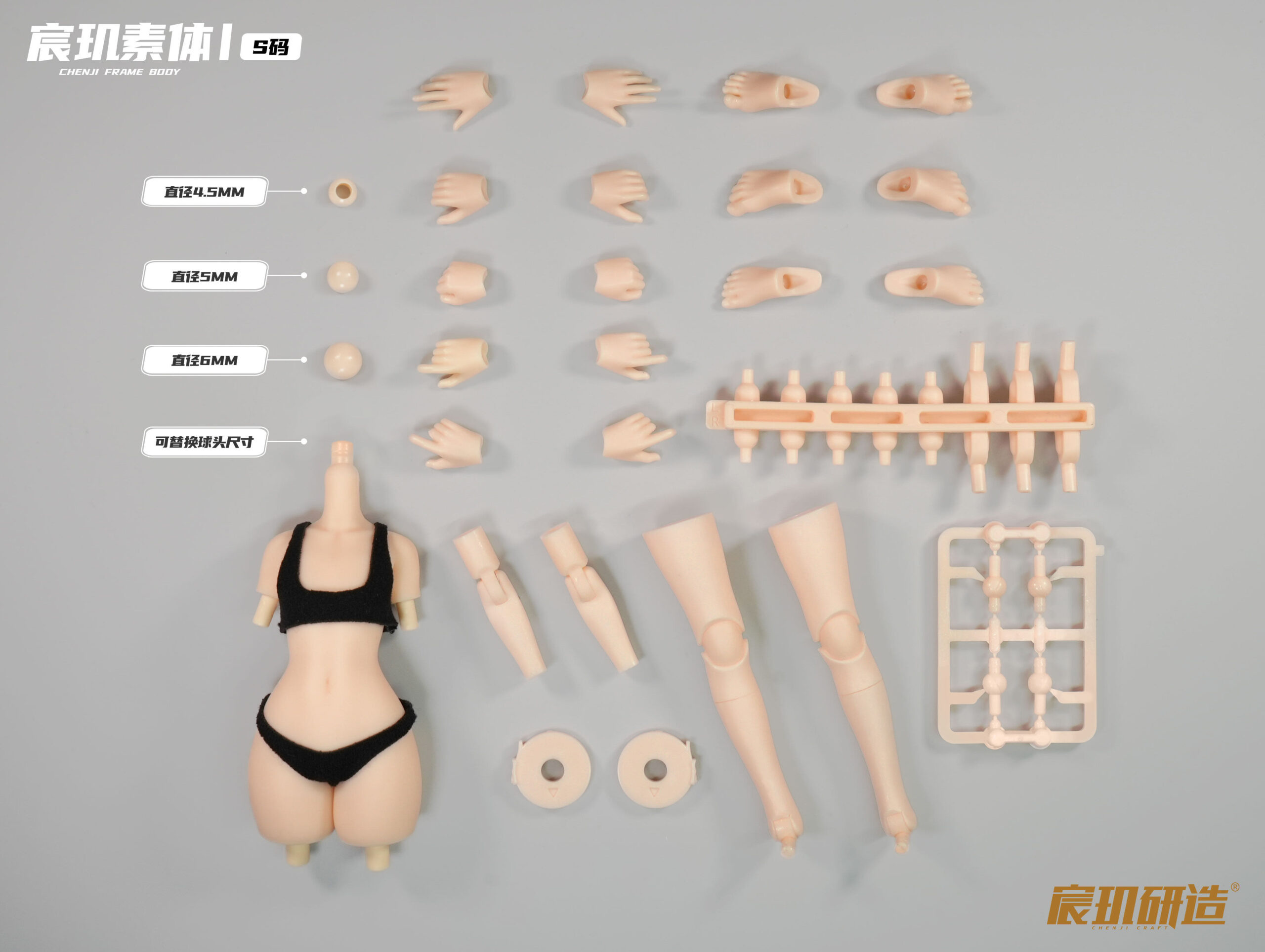 宸璣研造 1/12 宸璣骸體I 完整包膠素體版 S碼/L碼/XL碼:圖片 2